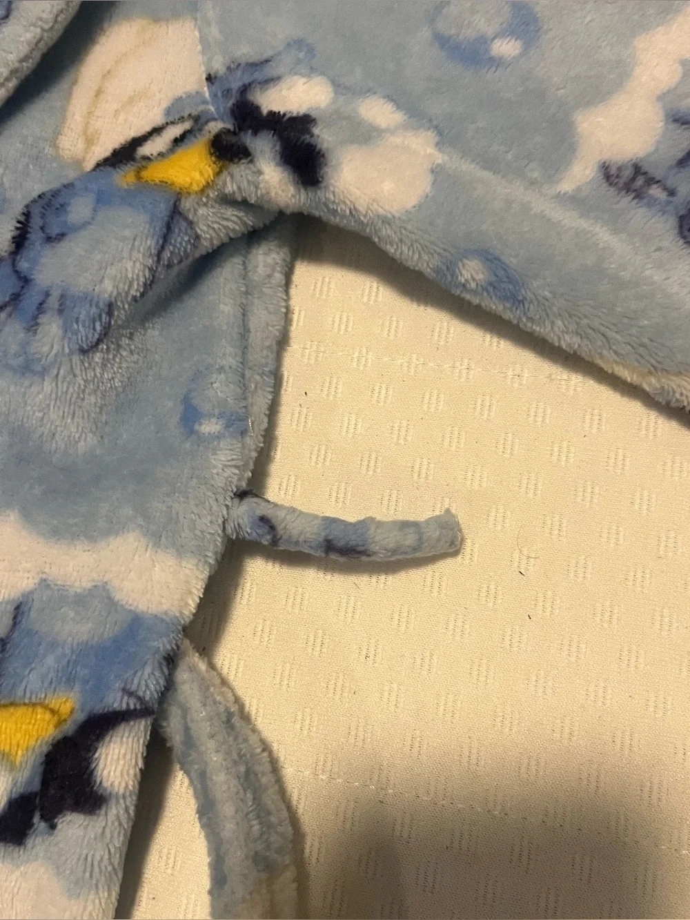 Kids Bluey Fleece Bathrobe